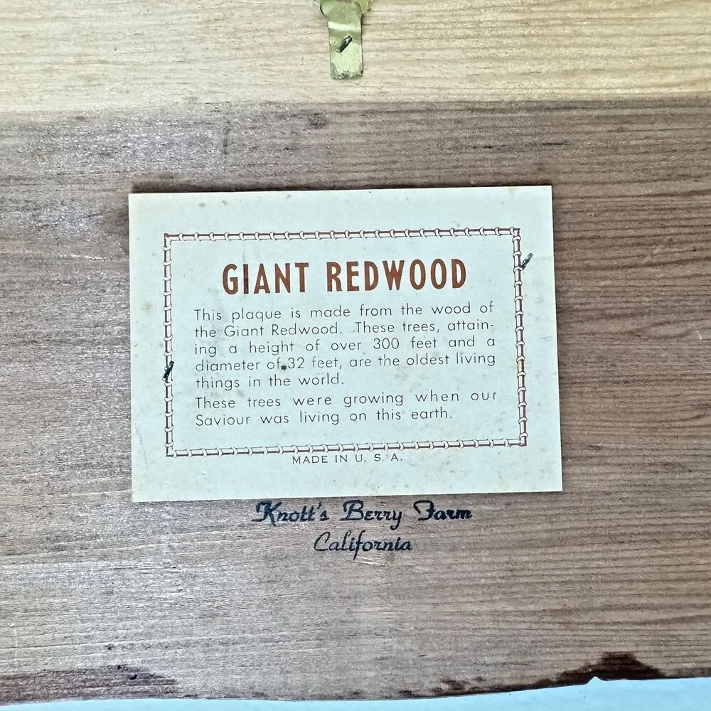 Vintage “Why Worry” Giant Redwood Wood Plaque Wall Art Knott's Berry Farms